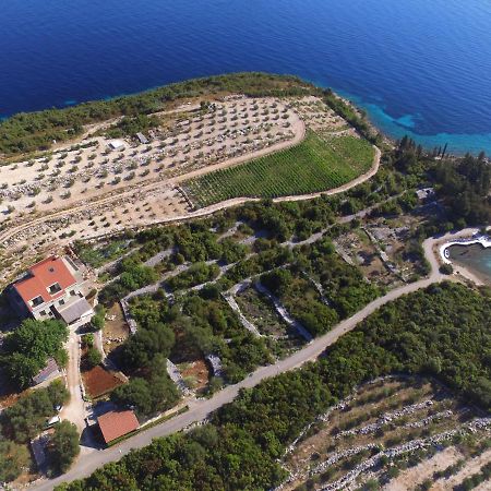 Deluxe Apartman “ Koromacna” Kneza Bagian luar foto