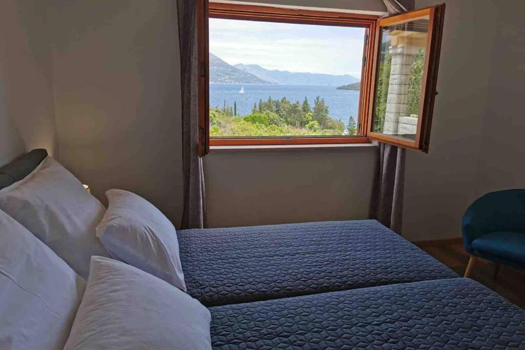 Deluxe Apartman “ Koromacna” Kneza Bagian luar foto